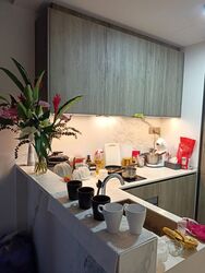 Leedon Green (D10), Condominium #545789651